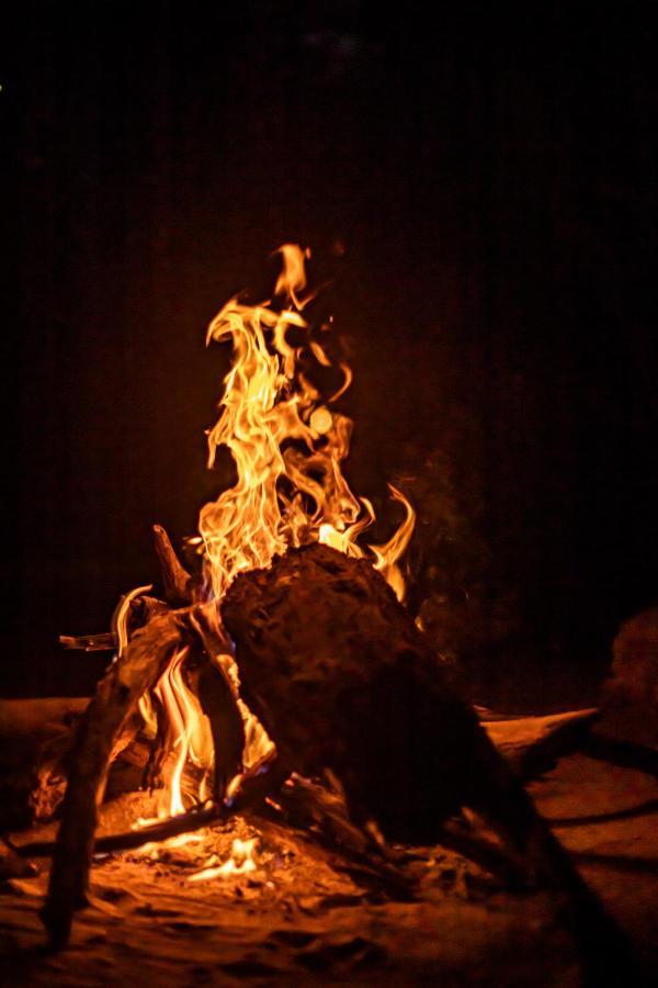 Yala Eco Bush Camp Hotel ภายนอก รูปภาพ