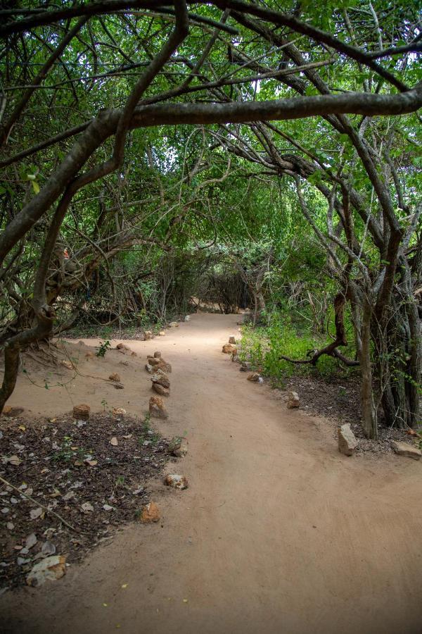 Yala Eco Bush Camp Hotel ภายนอก รูปภาพ