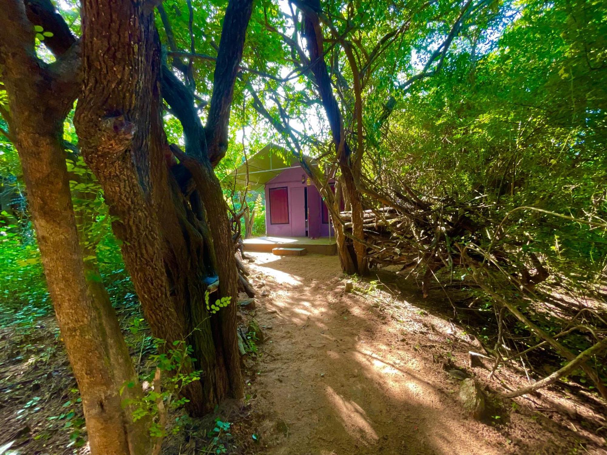 Yala Eco Bush Camp Hotel ภายนอก รูปภาพ