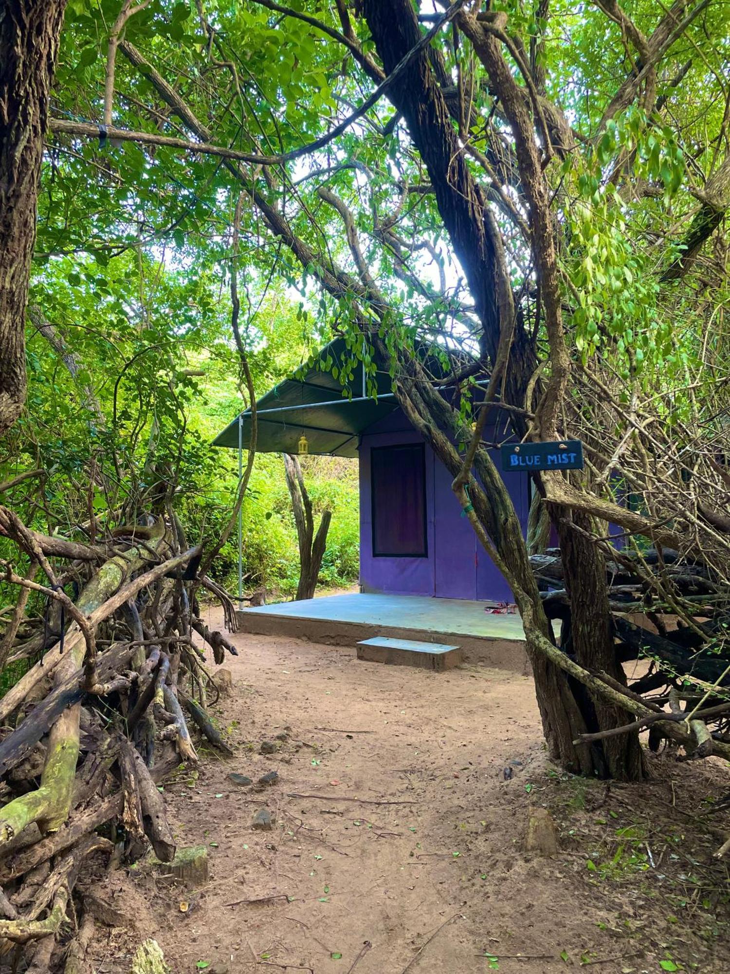 Yala Eco Bush Camp Hotel ภายนอก รูปภาพ
