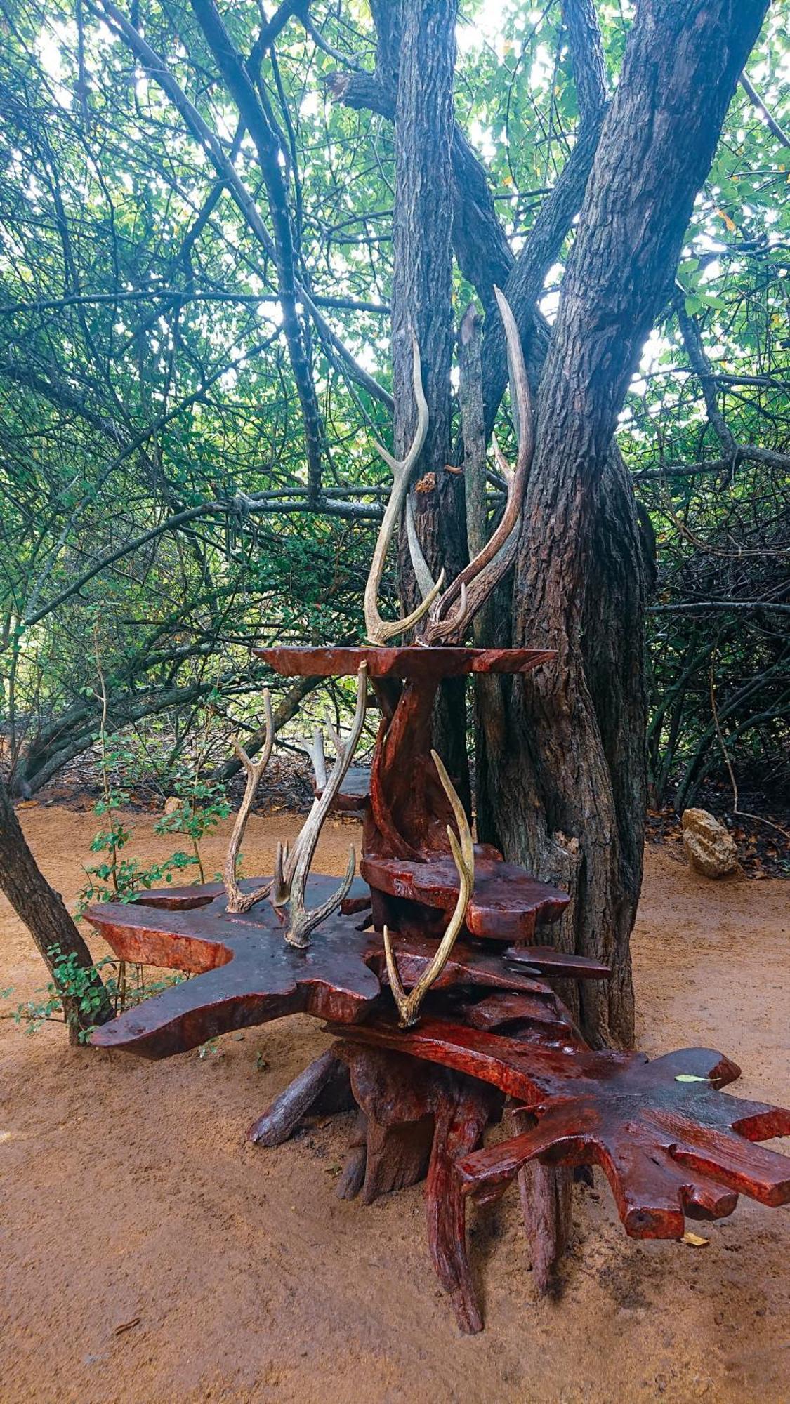 Yala Eco Bush Camp Hotel ภายนอก รูปภาพ