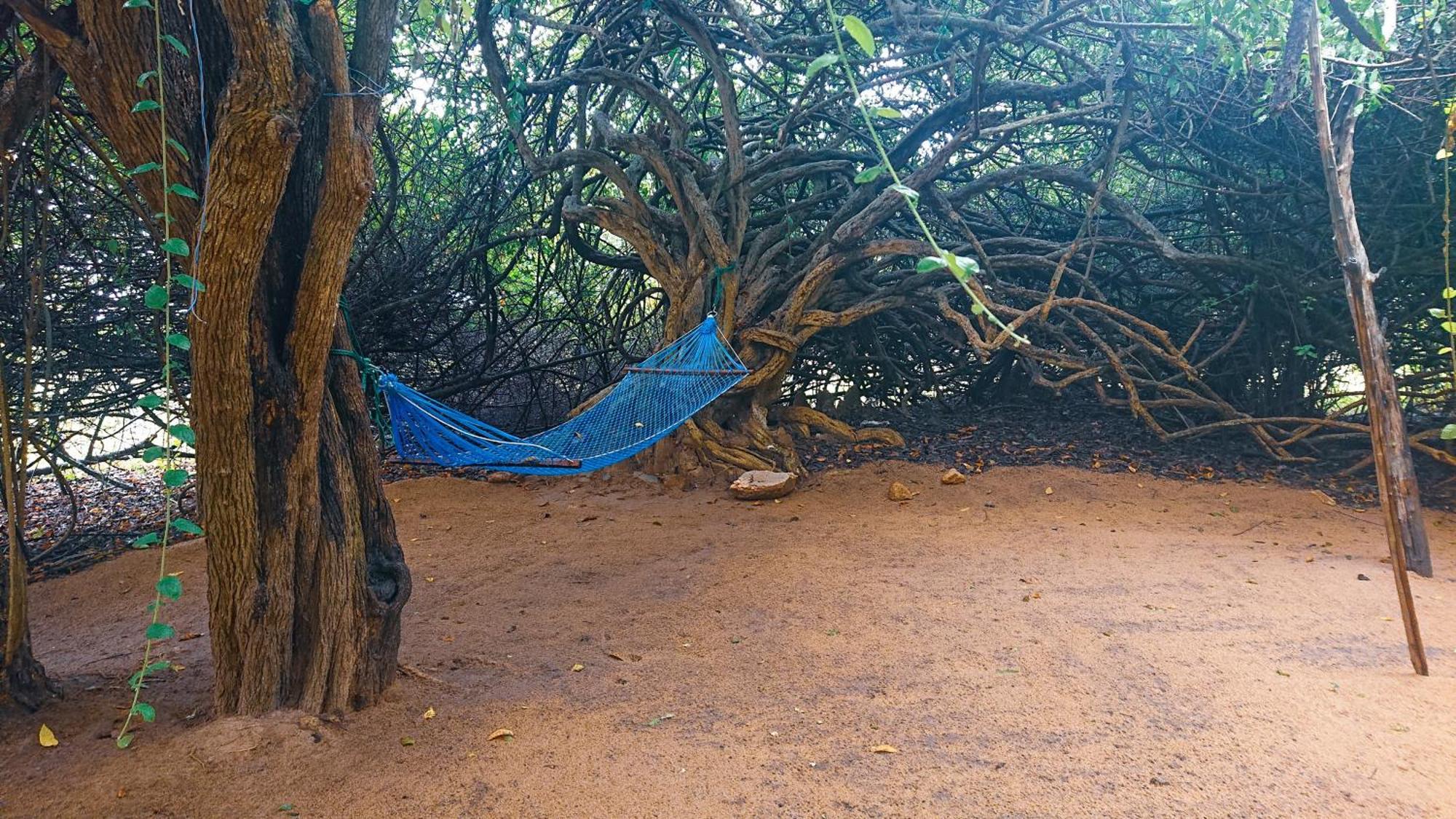 Yala Eco Bush Camp Hotel ภายนอก รูปภาพ